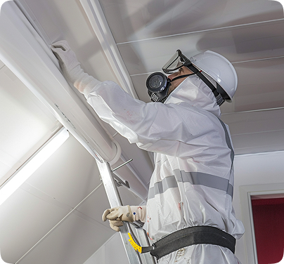 Why Choose Mausam Pest Control for Bed Bug Control